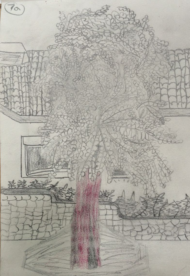 784x1136 Matthew, Observational Drawing Of School Precinct