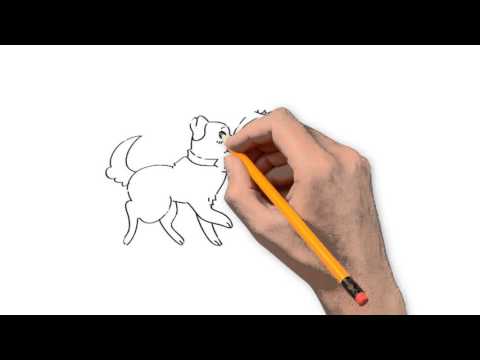 480x360 Cats And Dogs Animals Pencil To Draw Step By Step