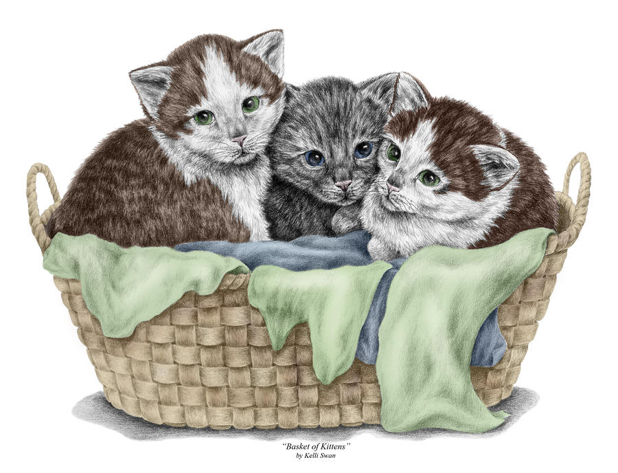 900x688 Basket Of Kittens