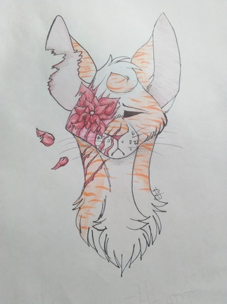 320x427 Cats Drawings On Paigeeworld. Pictures Of Cats