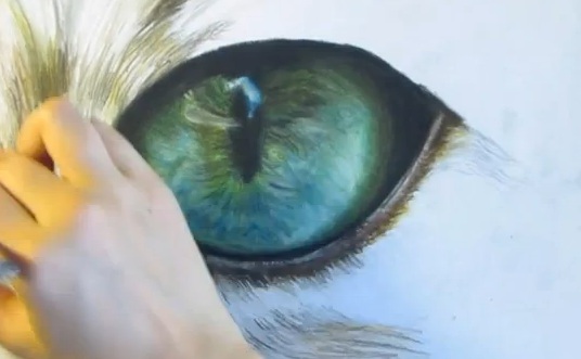 536x331 Cat Eye Speed Drawing Life With Cats