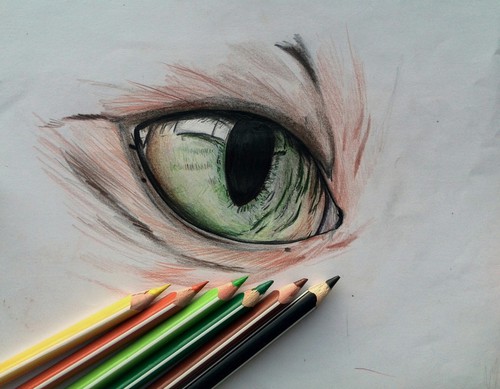 500x389 Cat Eye Draw Uploaded By Shining Star On We Heart It