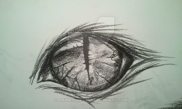 600x360 Cheshire Cat Eye By Damentattoos