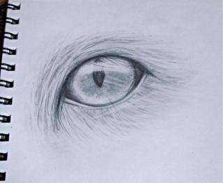 320x263 Does This Look Realistic It's Supposed To Be A Cat Eye