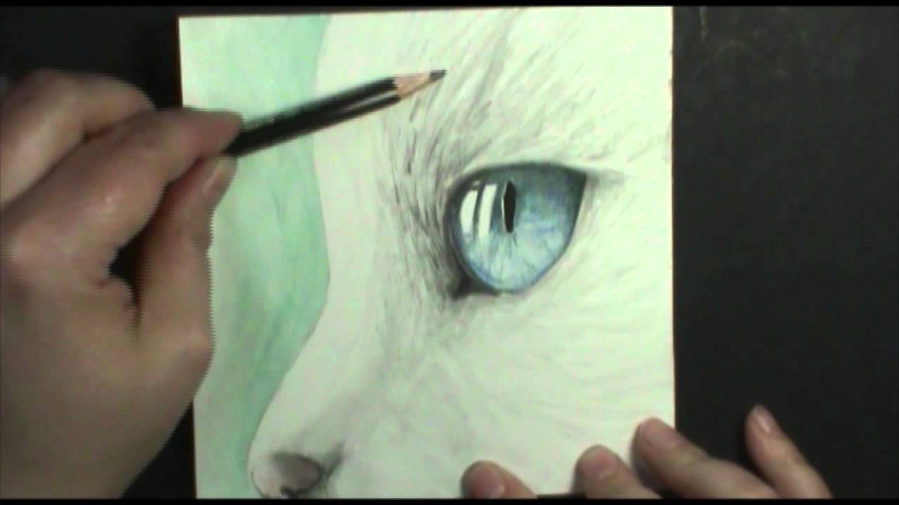 1280x720 Speed Painting Cat's Eye