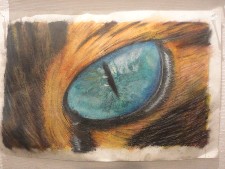 900x675 Cat Eye Done With Oil Pastel By Poke557