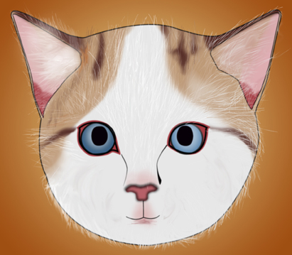 411x359 How To Draw A Realistic Cat's Face 11 Steps (With Pictures)