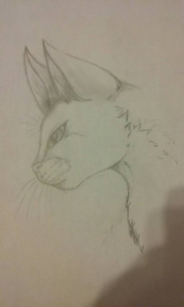 600x1000 Warrior Cats Drawing Warrior Cat Face By Jetpackkitteh23