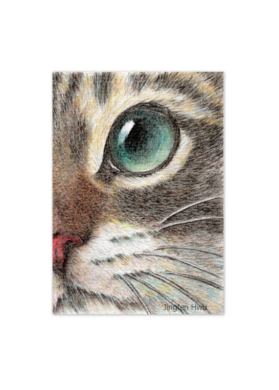 570x797 Cat Art Print Cat Face Drawing Art Print The Innocent Cat