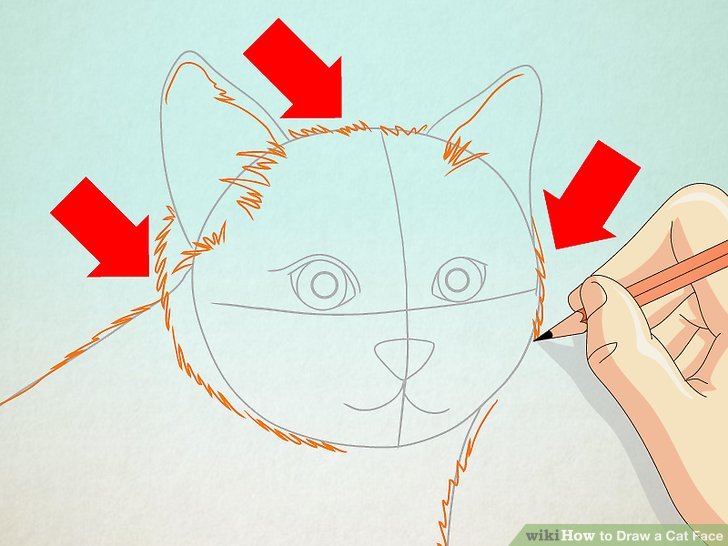 728x546 How To Draw A Cat Face 8 Steps (With Pictures)