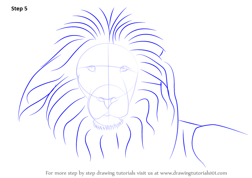 843x596 Learn How To Draw A Lion's Face (Big Cats) Step By Step Drawing