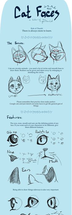 236x700 Catdrawing 9 1 Fur Tips On How Cats' Whiskers Should Be Depending