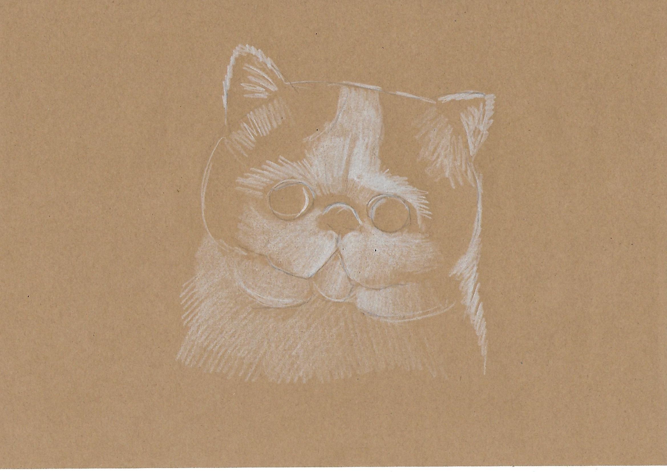 2338x1654 Caturday Drawing. Snoopy Cat. Step By Step Drawing. Steemit