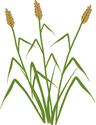 306x400 Index Of Ress Tice1 Partagevisuelian Symbolsfloramarsh, Wetlands