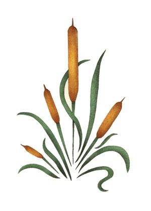 300x420 Quickly And Easily Create A Unique Design On Walls In Your Home