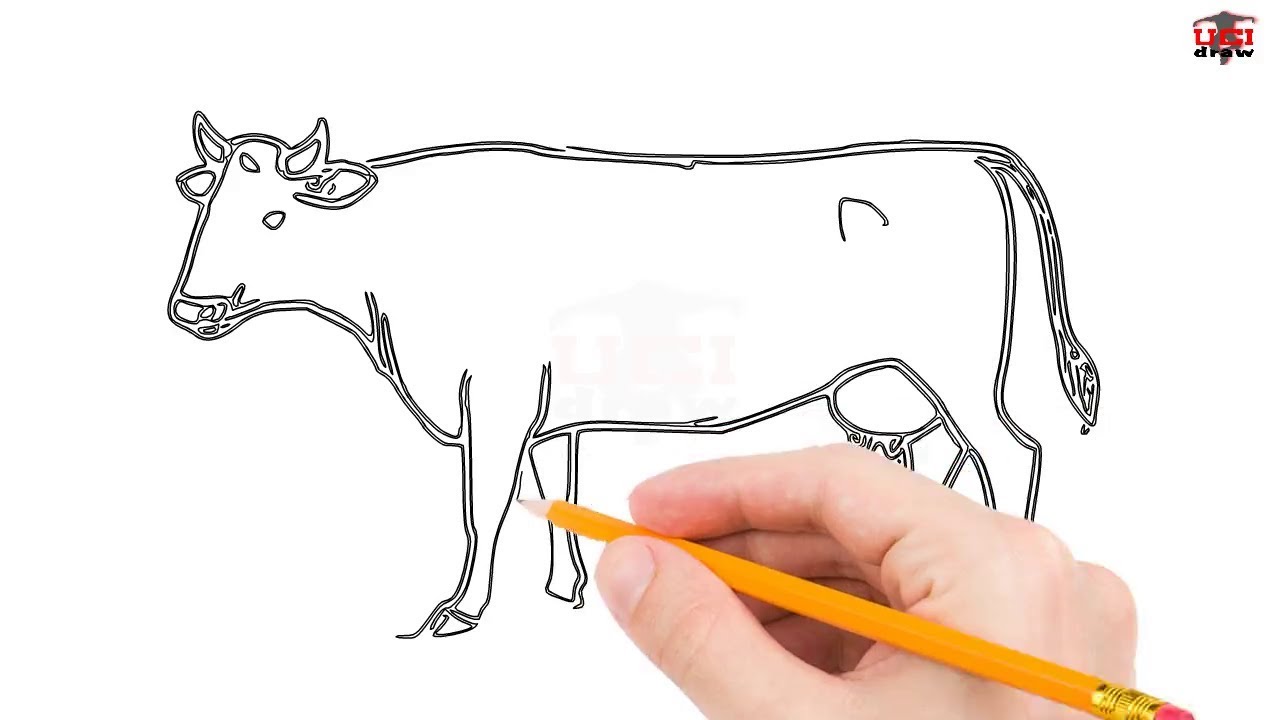 1280x720 How To Draw A Cow Step By Step Easy For Beginnerskids Simple