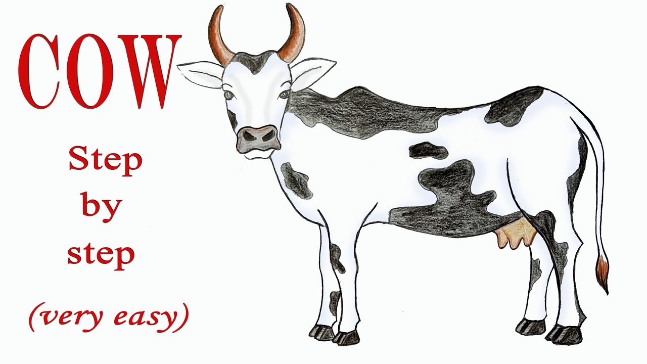1280x720 How To Draw A Cow Step By Step (Very Easy)