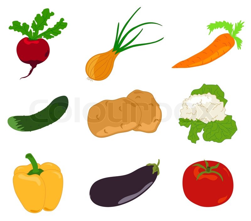 800x705 Drawing, Vegetable, Cauliflower Stock Vector Colourbox