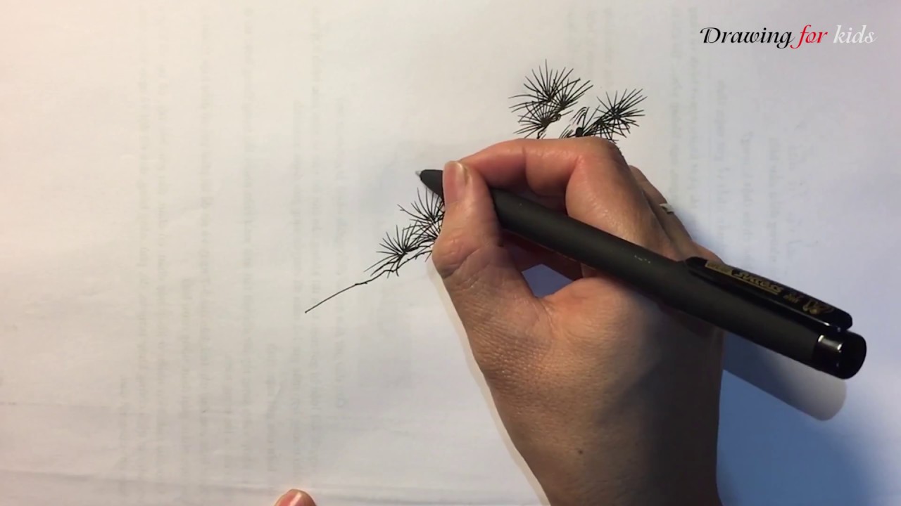 1280x720 How To Draw A Cedar Tree Cedar Tree Drawing Free Vector Art