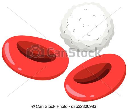 450x385 Red And White Blood Cells Illustration Vector