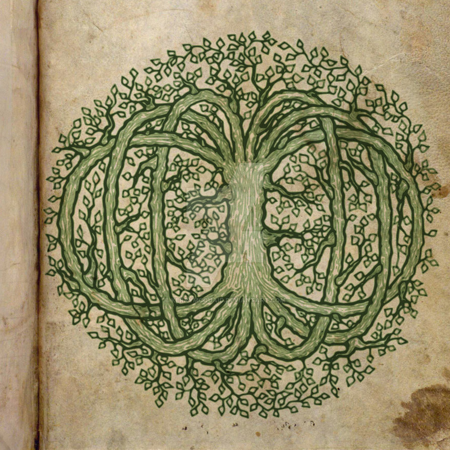 894x894 Celtic Tree Of Life By Kerrymcquaid