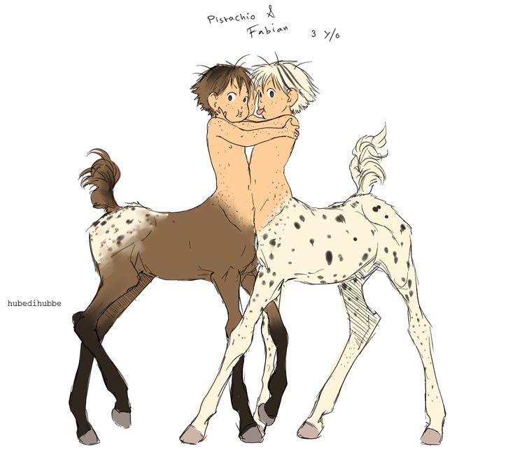 736x677 Anime Centaur