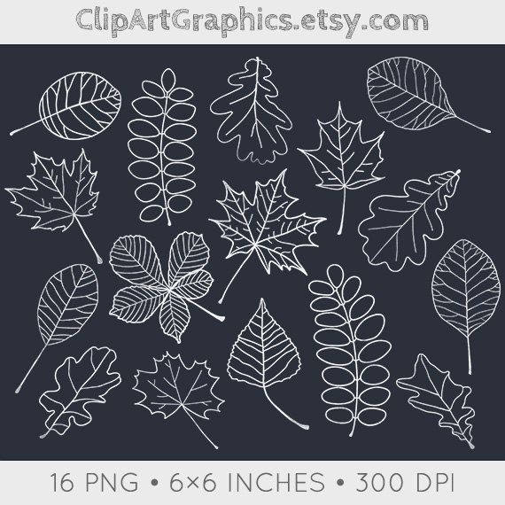 570x570 Digital Chalkboard Leaves Clip Art Fall Chalk By Clipartgraphics