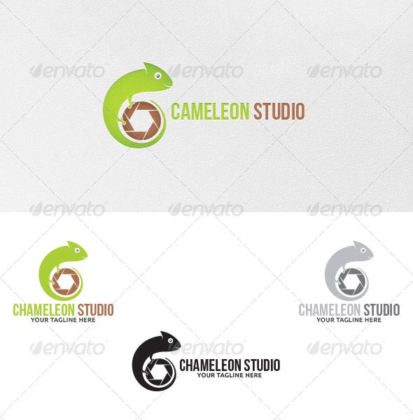 590x600 Chameleon Studio