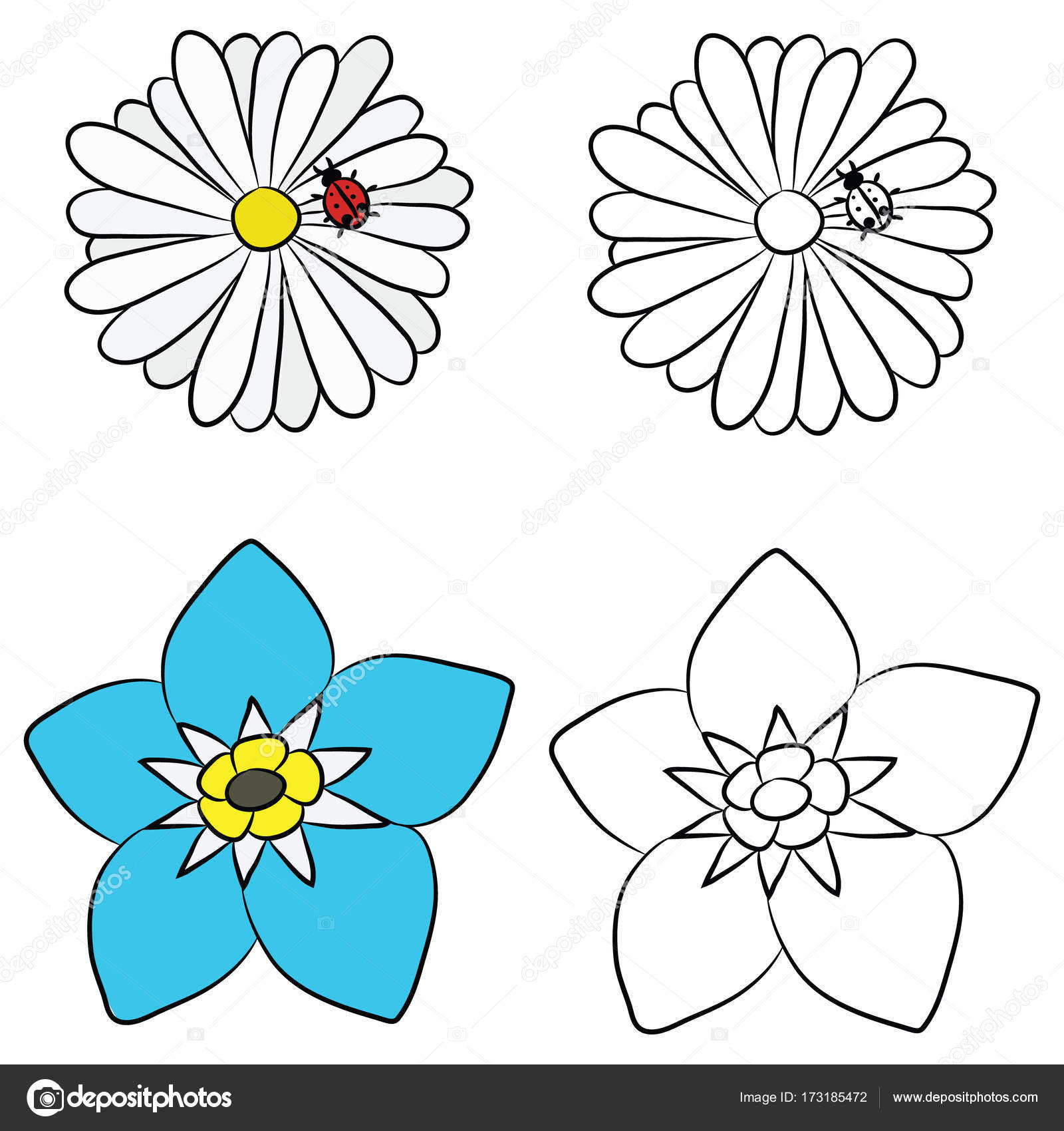 1600x1700 Vector Flat Drawings Of Chamomile And Forget Me Not Stock Vector