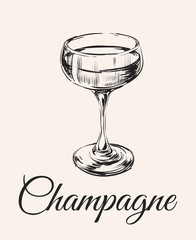 196x240 Champagne Glass Hand Drawing Vector Illustration Alcoholic Drink