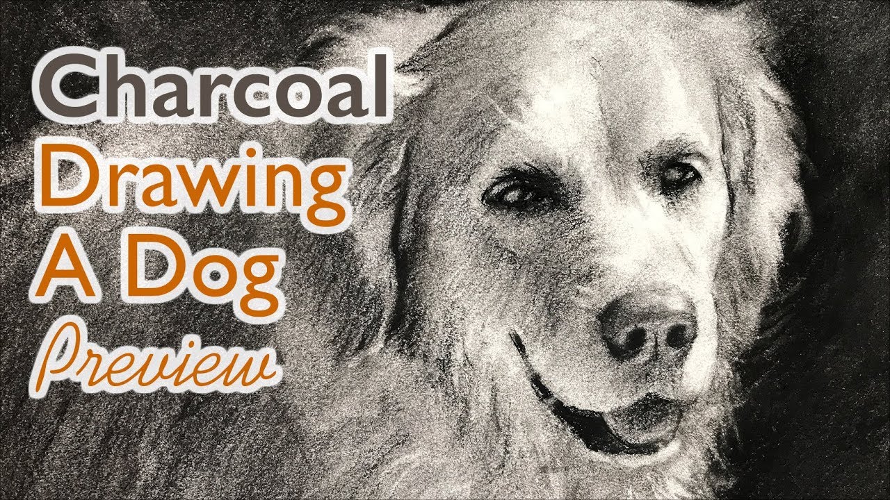 1280x720 Animal Drawing