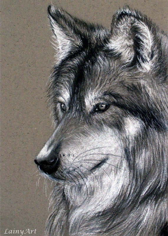 570x797 Pictures Charcoal Paintings Of Animals,