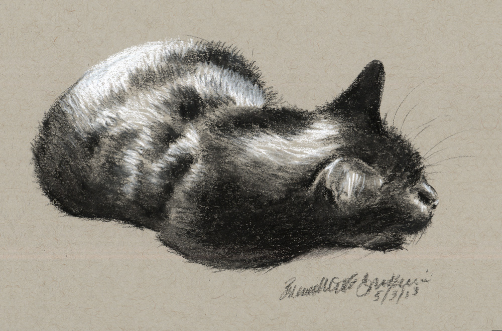 Charcoal Cat Drawing at GetDrawings | Free download