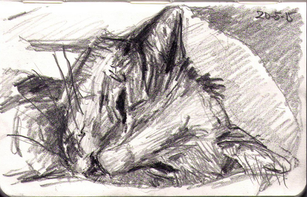 1000x643 Drawing Of Texas The Cat In Charcoal Ballpoint Pen Oh