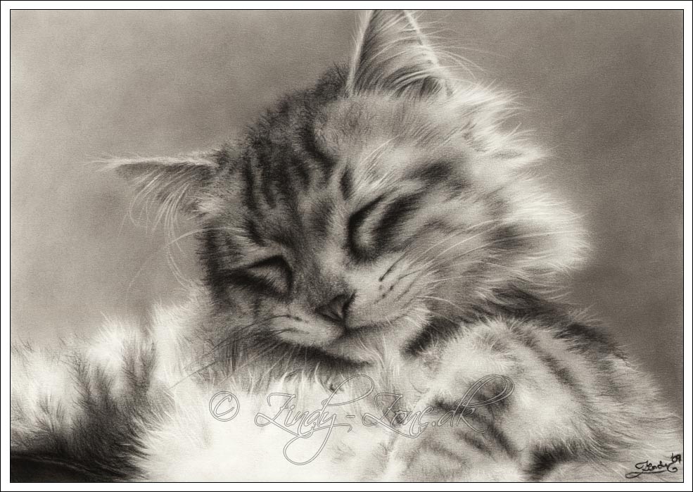 985x699 Zindy Zone.dk