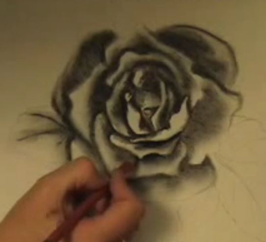 543x495 How To Draw Flowers Charcoal