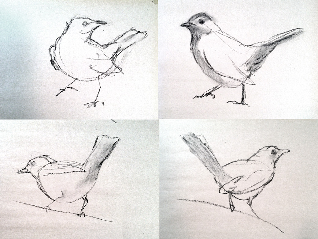 1040x780 Start With Gestures