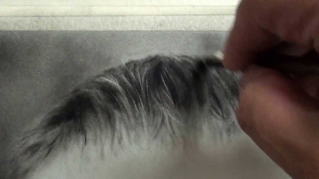 1280x720 How To Highlight Hair For Charcoal Drawing On Paper