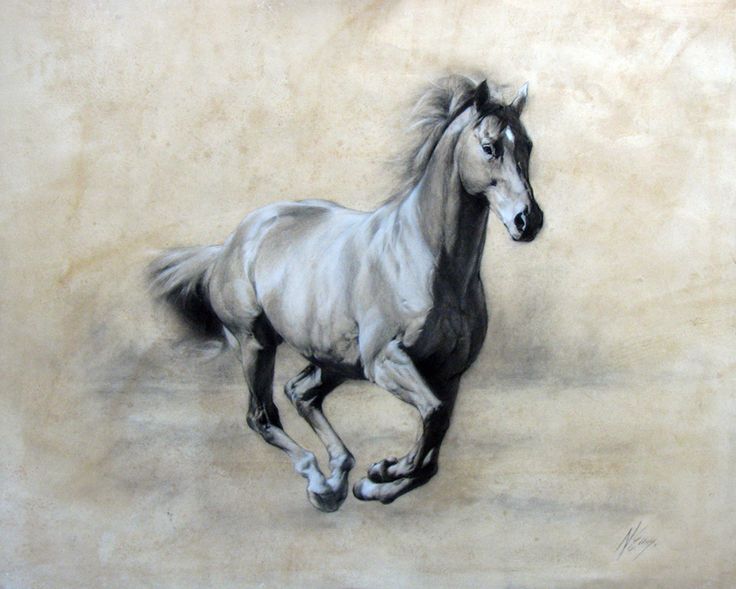 736x589 39 Best Xmas Horses Images On Horse Art, Drawings