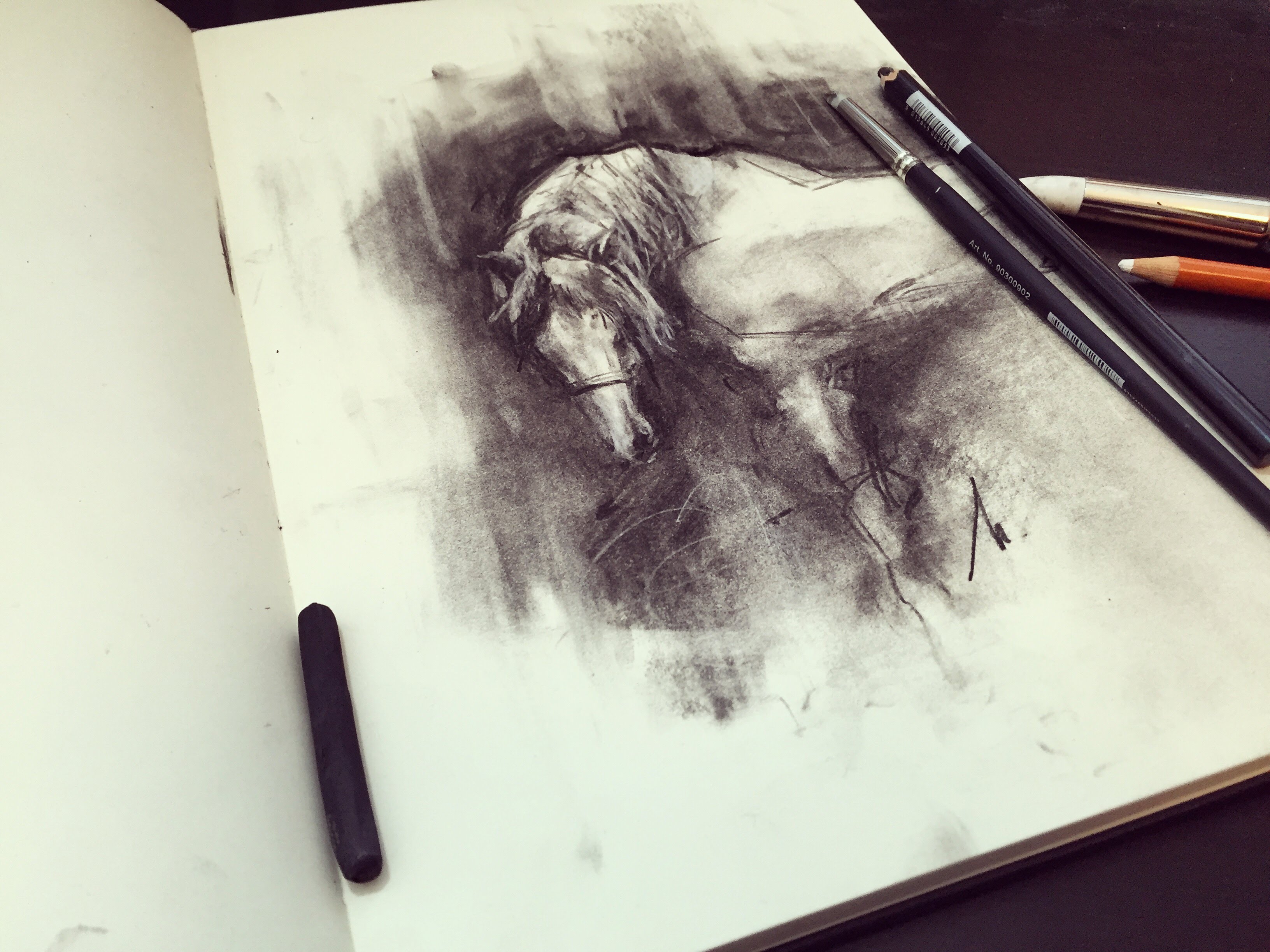 3264x2447 Charcoal Horse Demo