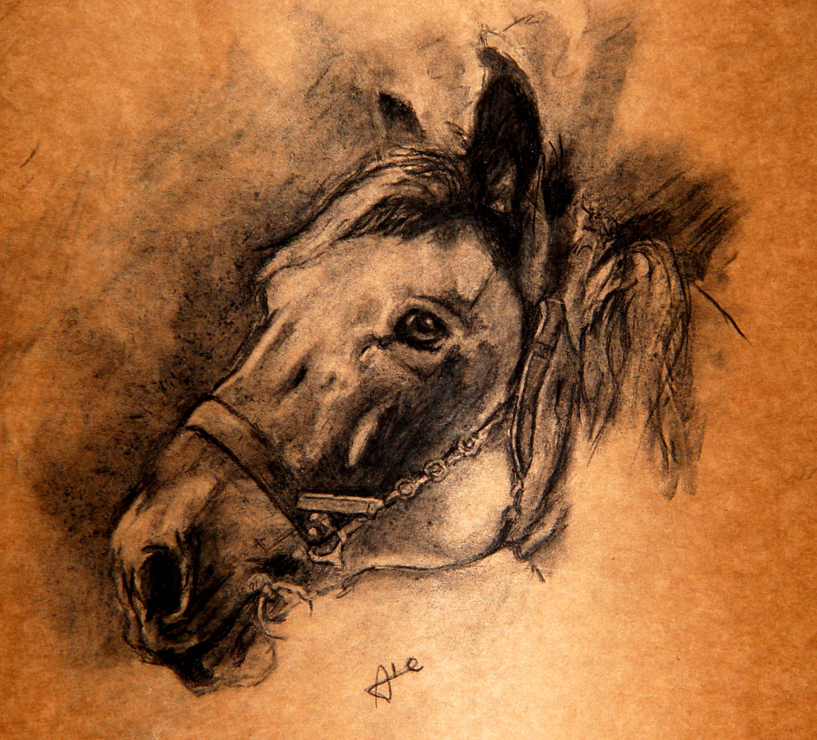 1181x1070 Charcoal Horse By Alegreghi