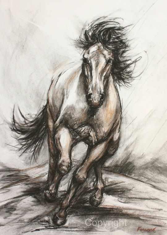 540x762 Original Horse Drawing On Paper Or Canvas