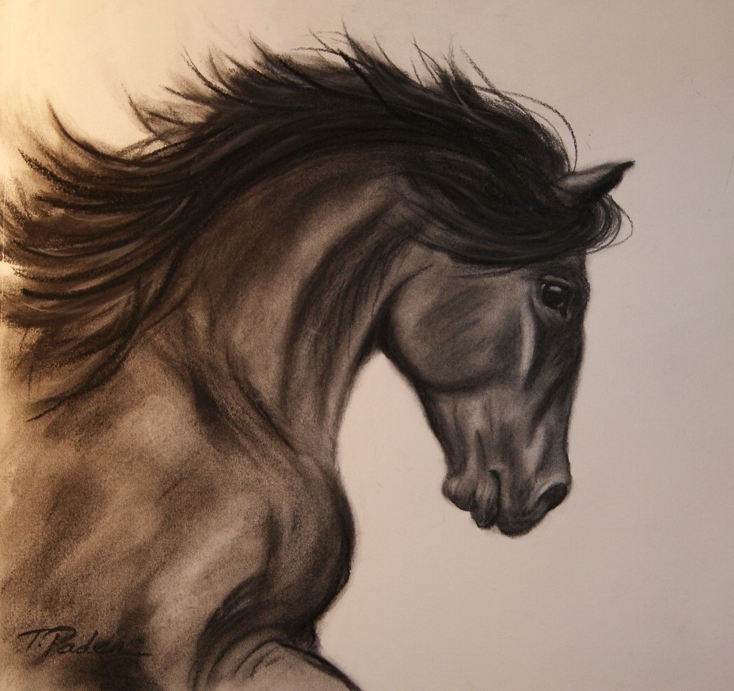 1054x992 Paintings By Theresa Paden Just Having Fun, Charcoal Horse