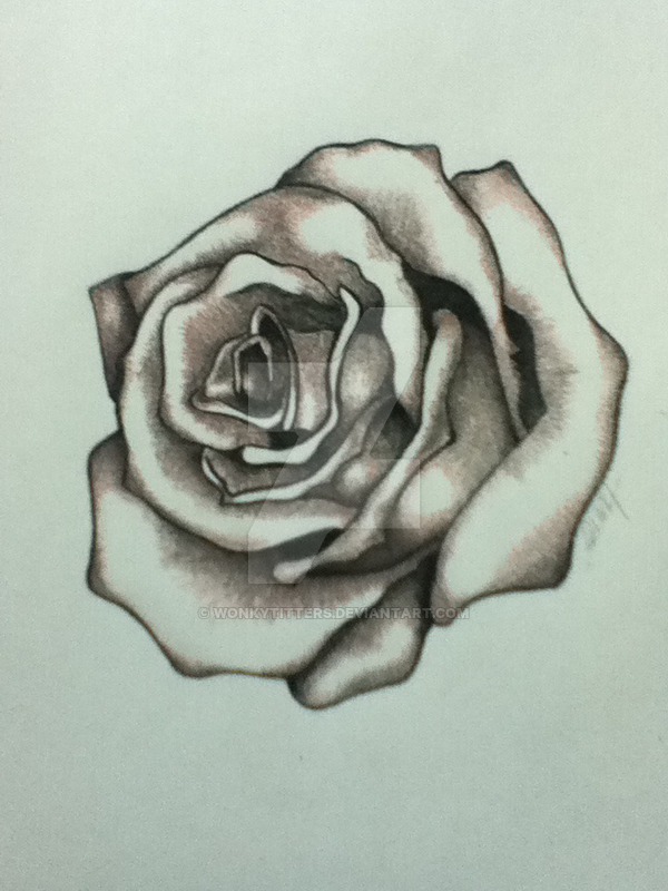 600x800 Charcoal Rose By Wonkytitters