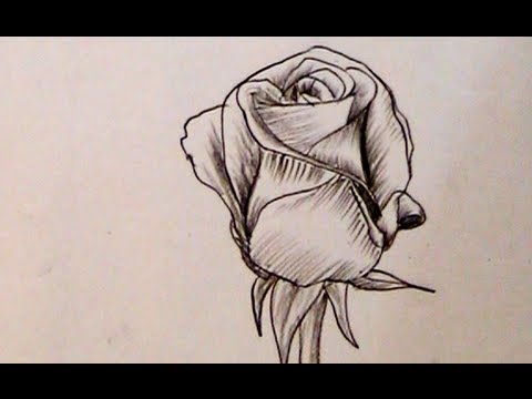 480x360 How To Draw A Beautiful Rose With Charcoal Pencil Yzarts