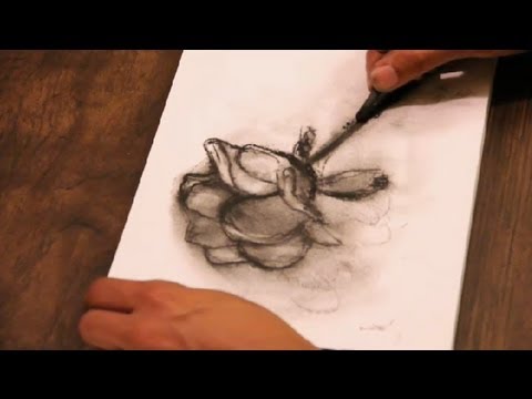 480x360 How To Draw A Charcoal Rose Art Tutorials