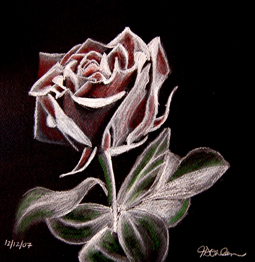 865x886 White Charcoal Rose By Jessicamelrose