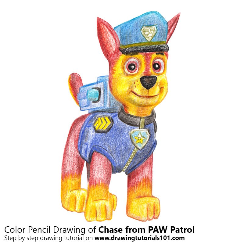 800x800 Chase From Paw Patrol Colored Pencils