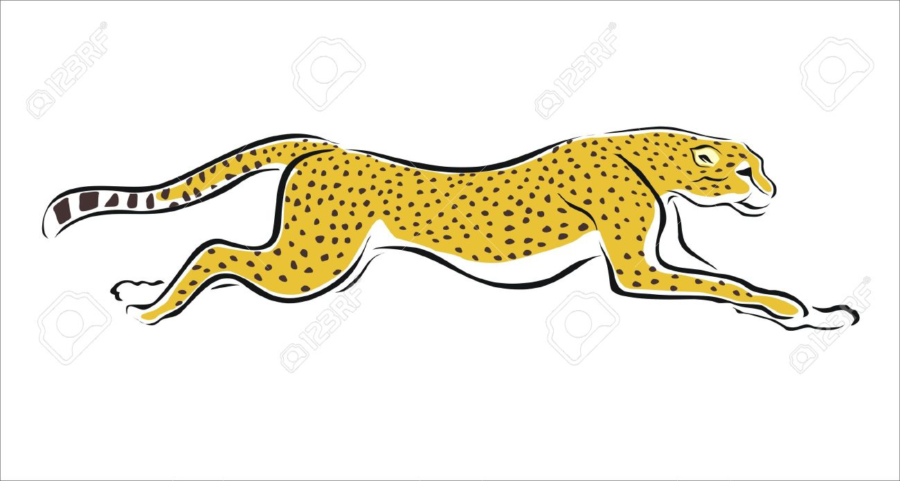 Cheetah Cartoon Drawing