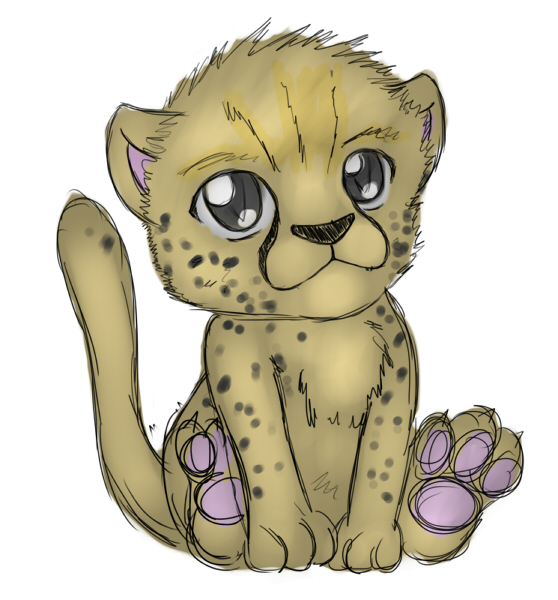 558x600 Cheetah Cub By Zephir Zophar